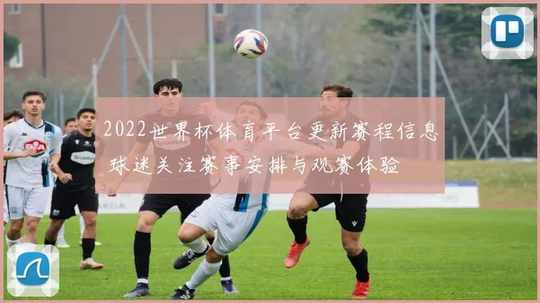 2022世界杯体育平台更新赛程信息 球迷关注赛事安排与观赛体验